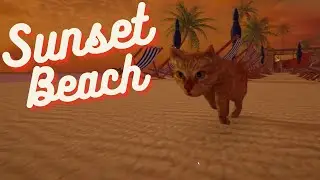 Sunset Beach