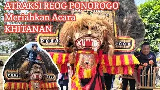 REOG BERPUTAR-PUTAR PENONTON LARI KETAKUTAN ‼️TARI DADAK MERAK MERIAHKAN ACAR KHITANAN #reogponorogo