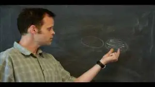 We are amplified quantum fluctuations