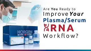 Plasma/Serum RNA Purification Mini Kit | Cat. 55000