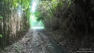 MI4分Dちょこっと登山・・藤尾コース分岐からむかいやま公園方向へ