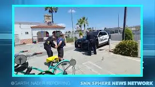 Tom zebra arrested for doing a dumb