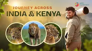 Wildlife Documentary : Neel Sarkhedi's Journey Across India and Kenya