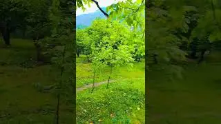 beautiful #scenery #nature #rurallife #swat#