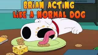 Best of BRIAN being a DOG ll Family Guy