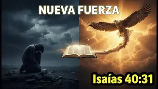 **Isaías 40:31 Explicado: El Secreto Bíblico de la Fuerza**