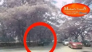 Crazy Drive #6 Traffic Shortcut