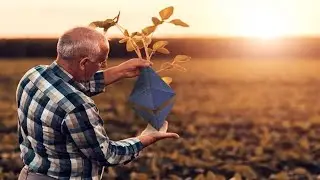🔴 Clip - T&igrave;nh H&igrave;nh Defi, Yield Farming, UNI, YFI