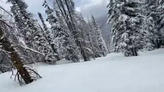 Winter Park, Colorado. Fresh powder in the trees next to Parry&rsquo;s Peak