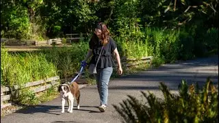 Pet License Fees Increase - Tacoma Report - August 22, 2025