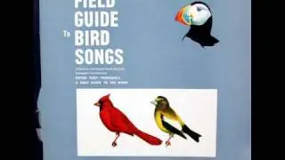 R. Tory Peterson: Audio Field Guide to Bird Songs of Eastern, Central N. America - 1961 (2 of 6)