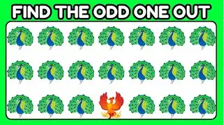 Find the Odd Animal 🐾 | Fun Animal Puzzle Game