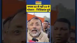 BJP on ED raid: ममता ED से नहीं CD से परेशान.. Nishikant Dubey | #ipac​#edraid​#bjpvstmc​#westbengal
