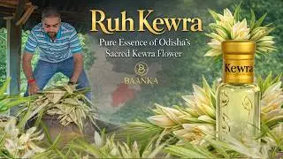 Making of Manmath Kewra | Ruh Kewra Attar, From Odisha | Baanka Fragrances