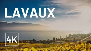 Walking during sunset in the Lavaux Vineyards, Switzerland 4K