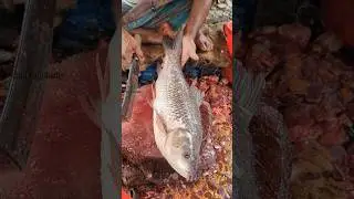 Incredible!! Traditional Rohu Fish Cutting Technique 😯 || #shorts #fishcutting_skills