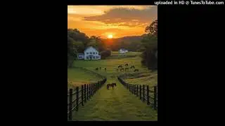 (FREE) Piseiro x Arrocha Type Beat 