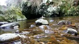 Wild Swimming in January:  Hethpool Linn, Northumberland