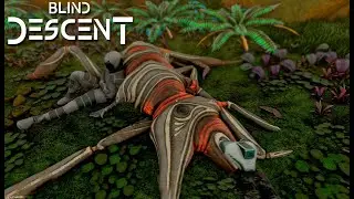 Blind Decent - First Look
