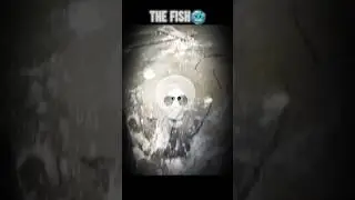 Fish Skull Edit 💀🐟 | Dark Deep Sea Aesthetic#Epicfish