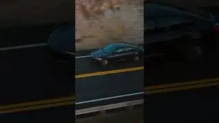 New Tesla Model 3 Refresh! 🚗💨 #TeslaModel3 #Petricar