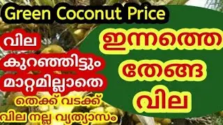 Green Coconut Price | #pepper #arecanut #rubber #coconut #goldprice  | Malayalam | Kerala