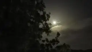 Moon Night | Nature Beauty | Moon Love (Moon Video) RS Wings🌜🌕#moon #nightmoon