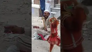 mini zoo main monkey agaya | monkey funny dance|#minizoo #shorts #videos #viralshorts#ytshort#money
