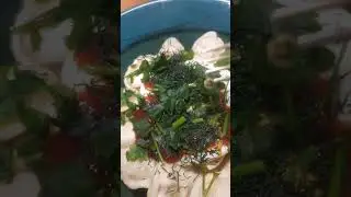 Базовый минимум холостяка. Пельмени.