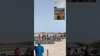 5 sweet wells panch pandav at dwaraka | #short