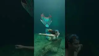 VERO BEACH MERMAID #mermaid #underwaterworld