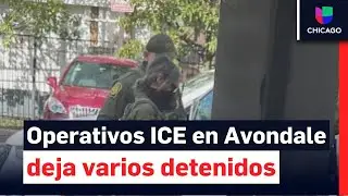 Denuncian que operativos de ICE en el vecindario Avondale deja varios detenidos