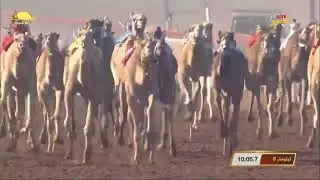 الشوط 10 (الفاتنة) لـ حمد محمد سالم الوهيبي , مهرجان محمد بن زايد الجمعة 2019/12/27 السوان ثنايا