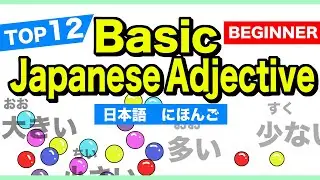 TOP12 Basic Japanese Adjective🇯🇵にほんご(Nihongo)🌸 Beginner