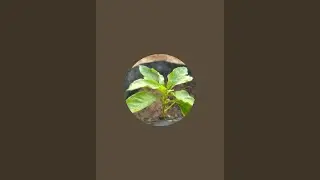 Sivakannan  is live!