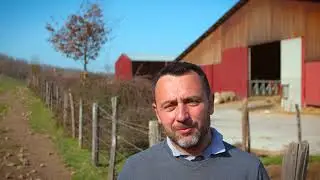 Comment réussir son désherbage en colza avec moins d'intrants chimiques ?