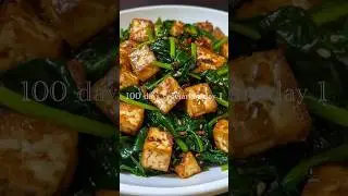 100 days vegetarian DAY 1