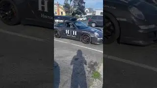 Porsche 911 dog LOVES her car rides