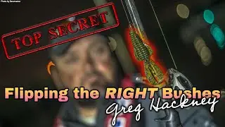 THESE Bushes Have BIG BASS - Greg Hackney