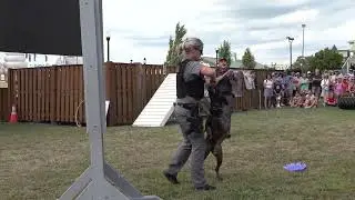 New York State Police Exhibit Canine/Bomb Disposal Unit Demonstration 2025 3