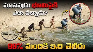 భూమిపైకి మొదటి మనిషి ఎలా వచ్చాడు? | How Life Began On Earth In Telugu | Human Evolution In  Telugu