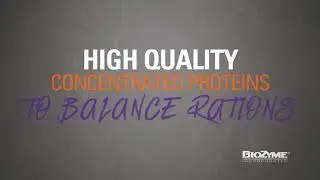 Sure Champ Ration Builder Product Video