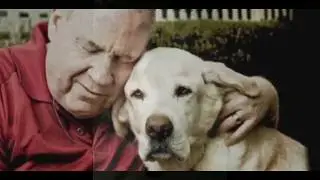 That Should Be A Movie: Thunder Dog