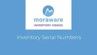 Video Auto Generate Serial Numbers