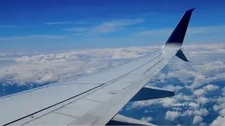Conozca los servicios de viajes y turismo de los afiliados a AVAVIT