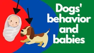 Will my dog&rsquo;s behavior change with a new baby?