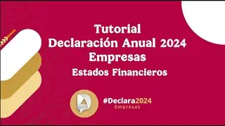 Declaración Anual 2024 empresas. Estados financieros.