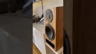 PMC Twenty5 21i speakers. The most detailed? Yes!