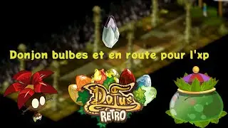 Team random de z&eacute;ro #3 - Donjon bulbes et en route pour l'xp ‐ DOFUS RETRO
