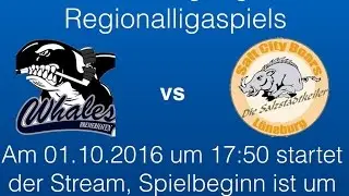 Whales Bremerhaven vs. SaltCityBoars Lüneburg